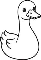 white duck isolated on white background vector