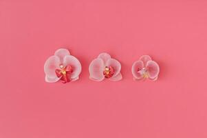 Beautiful pink orchid flowers on pastel pink background. Minimal flower concept and simplicity. Trendy pink pastel color layout. Flat lay style. Top view. photo