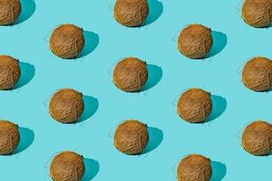 Trendy sunlight summer fruit pattern made of coconuts on light blue background. Nature summer concept. Coconut aesthetic. photo