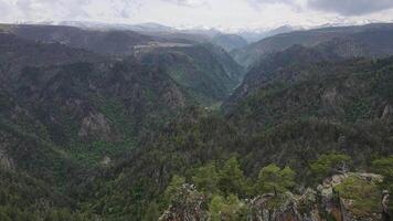 The mountains are covered in trees and the sky is cloudy video