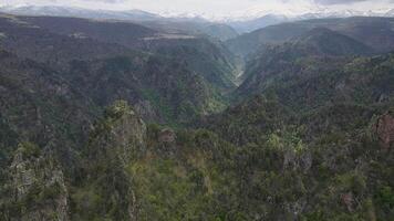 The mountains are covered in trees and the sky is cloudy video