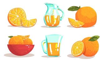 Ripe Sliced Oranges and Jug of Fresh Juice Set Illustration vector