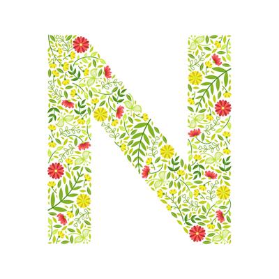 Capital Letter N, Green Floral Alphabet Element, Font Uppercase Letter Made of Leaves and Flowers Pattern Illustration
