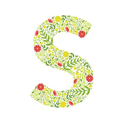 Capital Letter S, Green Floral Alphabet Element, Font Uppercase Letter Made of Leaves and Flowers Pattern Illustration