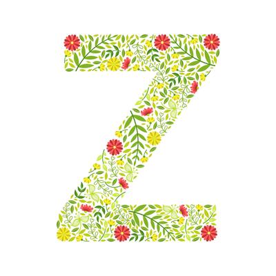 Capital Letter Z, Green Floral Alphabet Element, Font Uppercase Letter Made of Leaves and Flowers Pattern Illustration