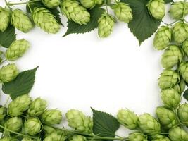 Background frame formed from a bunch of hop fruit photo