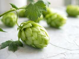 hop on a wooden background photo
