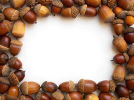 A frame background formed from a collection of acorns photo