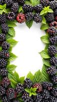 A vertical frame formed from a collection of blackberry photo