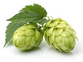 Two hop fruit isolated on white background photo