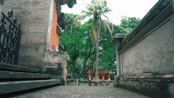 Tranquil Pathway Through Ancient Structures video