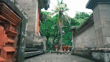 Serene Temple Courtyard with Lush Greenery video