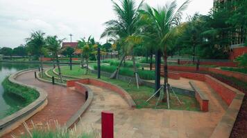 Serene Park with Winding Pathways and Palm Trees video