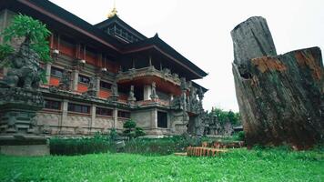 A traditional Balinese temple with intricate carvings and statues, surrounded by lush greenery and a large, weathered tree stump in the foreground video