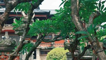 Lush Green Trees with Traditional Architecture video
