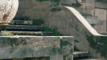 Weathered Stone Steps of an Ancient Structure video