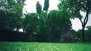 A lush green garden with tall trees and manicured grass, featuring a stone wall and traditional Balinese architecture in the background video
