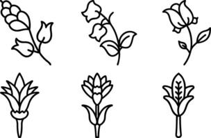 Botanical Clipart Set vector