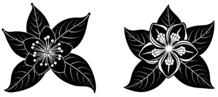 Guava Blossom Silhouette Drawing vector