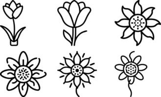 Floral Ornament Collection vector