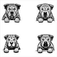 Peeking Shar Pei Dog Face vector