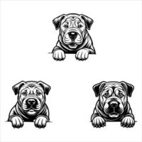 Peeking Face Shar Pei Dog vector