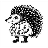 Hedgehog Wearing Jacket vector