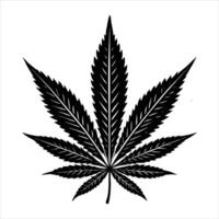 Marijuana Leaf Drawing stock vector