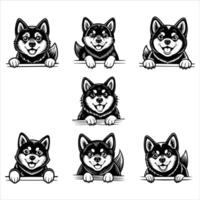 Peeking Akita Inu Dog vector