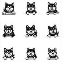 Peeking Akita Inu Dog Face vector