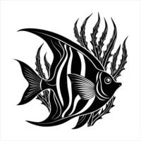 Set of different aquarium angelfish vector