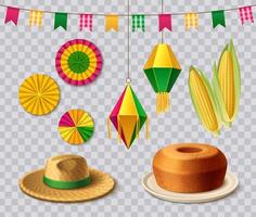 Realistic festa junina element set vector
