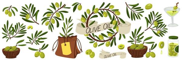 A set of green olive branches. Various branches with fruits, oil and leaves. Flat color illustration on a white background. Products with branches, olives. Whole foods for making fresh meals. Sprout vector