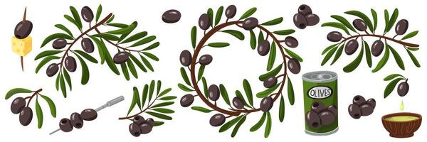 set of black olive branches. Various branches with fruits, oil and leaves. Flat color illustration on a white background. Products with branches, olives. Whole foods for making fresh meals vector