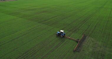 Tractor On Agricultural Work In The Field, aerial view. Cultivation of a wheat field. video