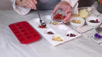 Preparing colorful homemade chocolates with assorted nuts and dried fruits video