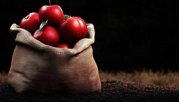 Apple organic fruit in sack bag linen container in soil gardening area photo