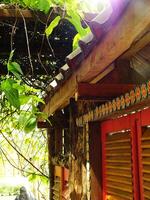 Traditional ethnic wooden building with a red window and a green vine growing on it. The building is surrounded by trees and has a rustic, natural feel to it photo