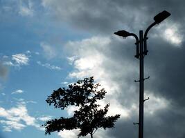 Low angle view. Silhouette of the street lights were not yet on in the dark sky. The sky is cloudy. photo