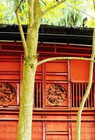 The background of a red ancient building, with shades of Asian ethnic motifs. There is a tree trunk in front of it, creating a peaceful and calm atmosphere photo