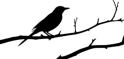 Bird on tree branch on a tree vector