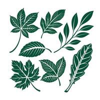 Green color leaf set vector