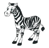 Zebra animals isolated on white background vector