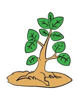 Tree green isolated on white background vector