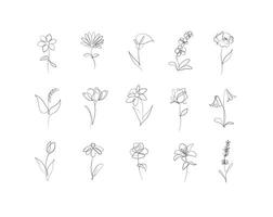 Flowers icons set rose, tulip, bell, camellia, daffodil, daisy, calla, lavender, lily, peony, poppy, wallflower drawing in linear style with black on white background vector