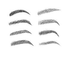 Eyebrows collection set in different shape form drawing with black on white background vector