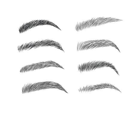 Eyebrows collection set in different shape form drawing with black on white background