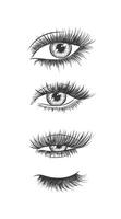 Eyes and eyelash collection drawing in graphic art style on white background vector