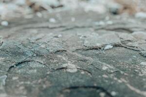 Detailed texture of weathered rock surface with natural patterns and minerals visible in a rustic outdoor setting photo