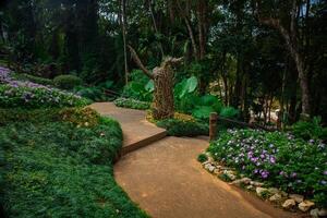 Path in Flora park with mountains in the background, Chiang Rai, Thailand. photo